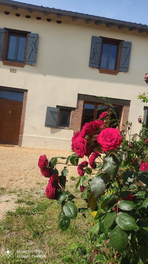 Вилла Ferme Du Bois Du Pouget La Salvetat-Belmontet Экстерьер фото
