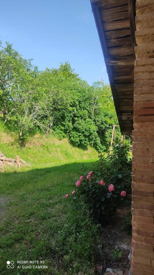 Вилла Ferme Du Bois Du Pouget La Salvetat-Belmontet Экстерьер фото