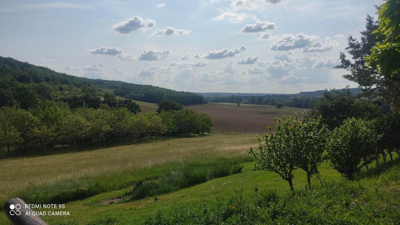 Вилла Ferme Du Bois Du Pouget La Salvetat-Belmontet Экстерьер фото